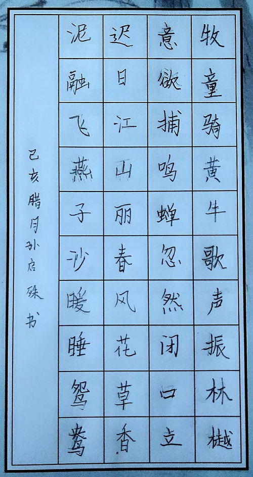 筆繪藍天 晉 在新年 文旅部書畫等級考試 成都考區(qū) 新年第一考開考
